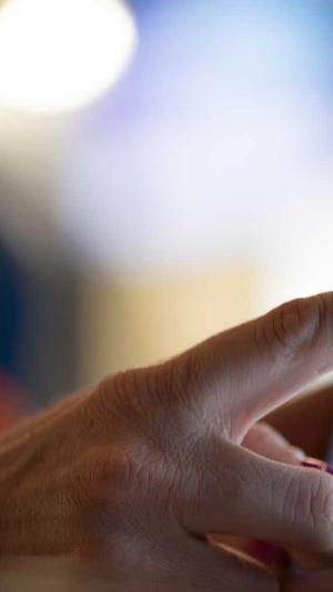 泊君seo工具截图1