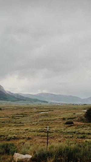 蜘蛛池有没有效果截图5