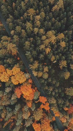 宜春网站建设公司截图1