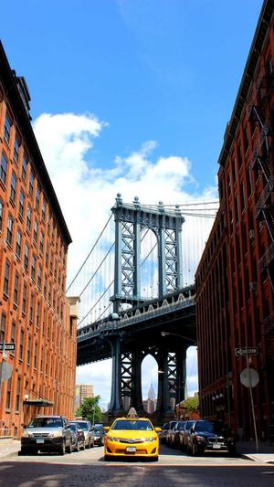 快速SEO排名截图1