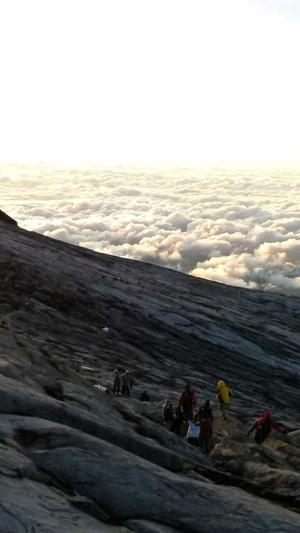 三门峡网站建设截图1