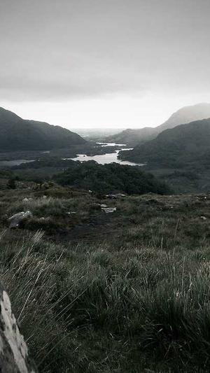 seo 站长工具截图2