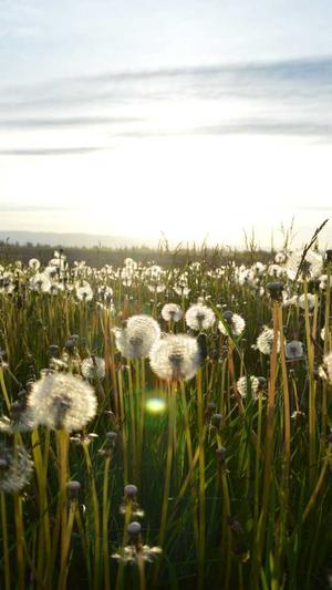 广东省建设执业资格注册中心官方网站截图2