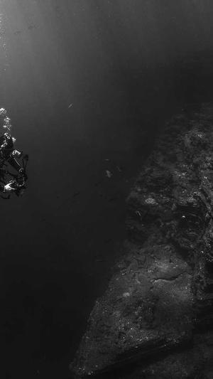 seo在线优化工具截图1