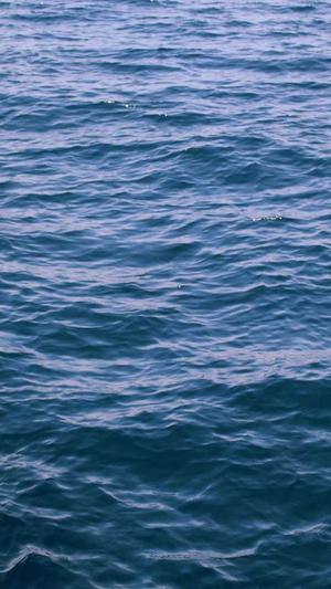 宁波外贸网站建设截图2