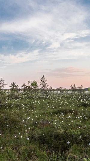 神马蜘蛛池搭建视频截图3