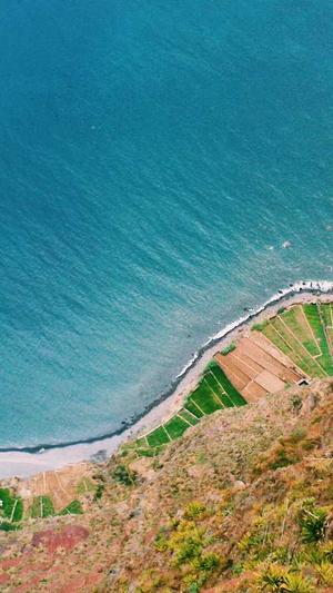 黑帽seo培训截图4