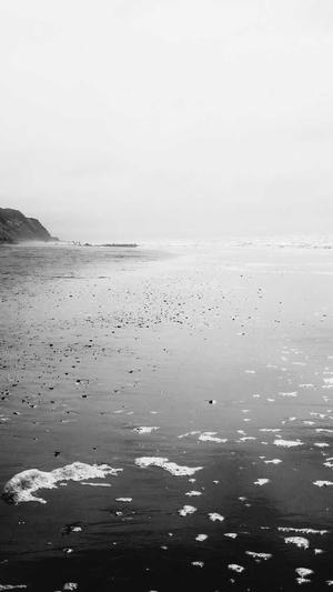 天津seo诊断截图1