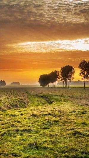 爱站seo工具包电脑版截图1