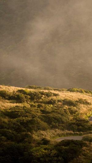 天津网站建设截图3