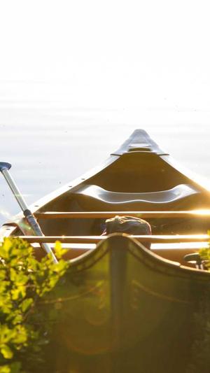 seo 站长工具截图4