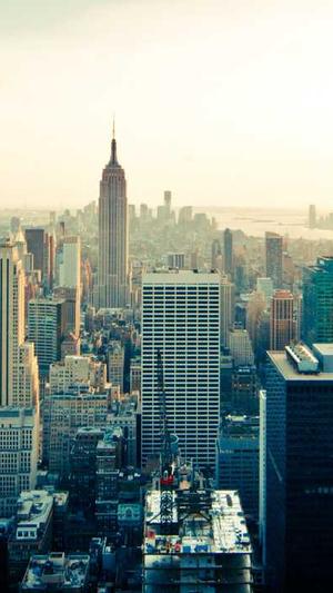 seo技术培训截图1