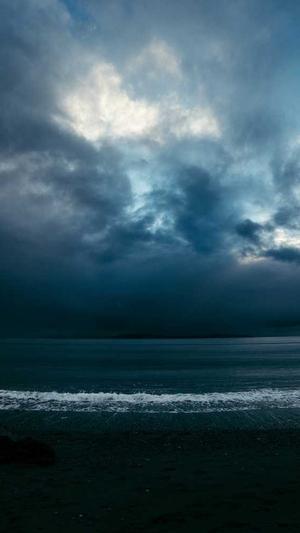 蜘蛛池软件公司截图5