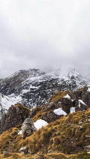 晴天蜘蛛池有用吗截图3