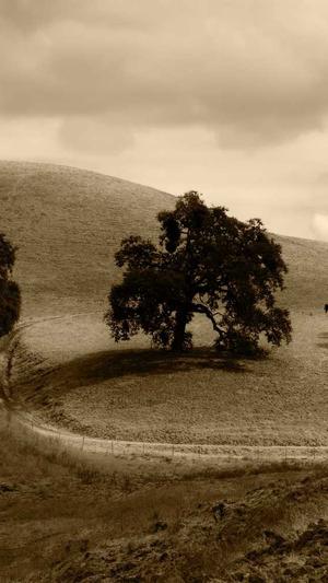 苏州seo工具截图4