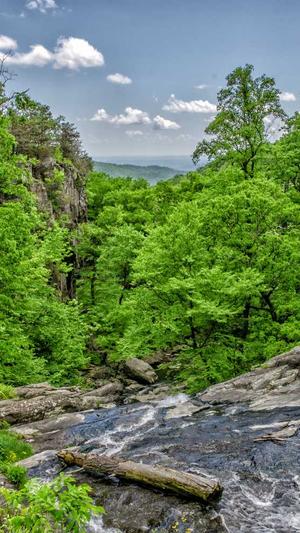 小霸王站群蜘蛛池截图1
