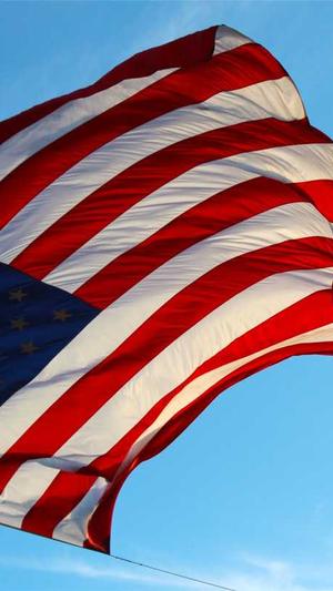 泛目录怎么做外推截图3