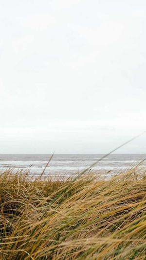 seo有哪些工具截图4