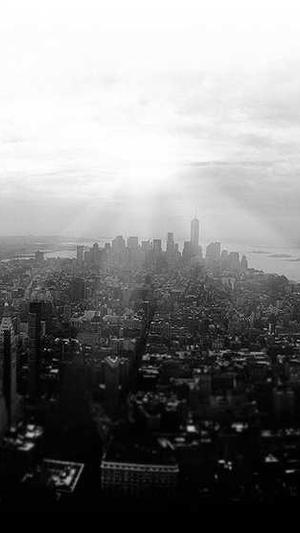 seo 内容发布工具截图3