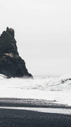 蜘蛛池新手入门关键词截图1