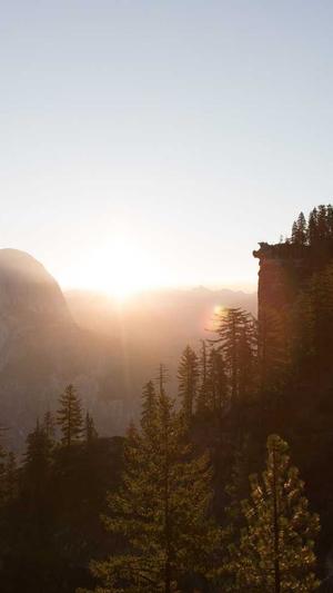 小霸王站群蜘蛛池截图2