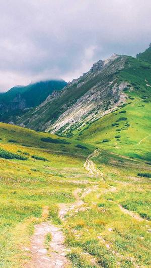 有哪些seo工具截图2