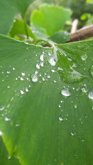 seo原创工具截图5