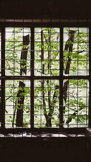 神马蜘蛛池搭建视频截图1