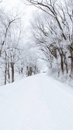 南京seo优化截图3