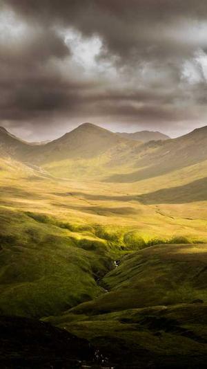 下载站泛目录站群程序截图3