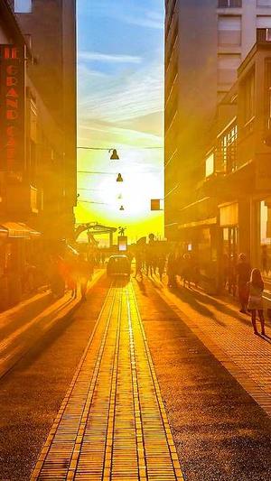 蜘蛛池建造图片截图2