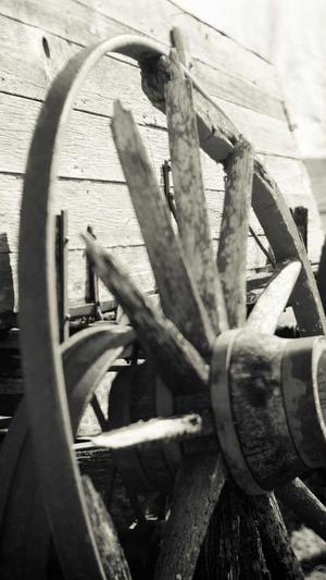 10万蜘蛛池截图4