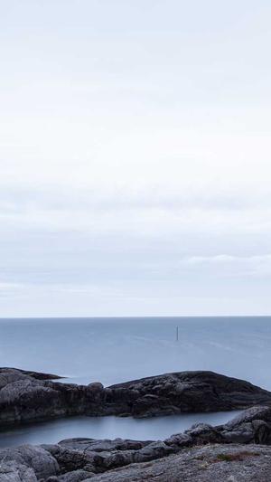 茂名网站建设截图3