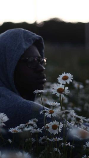 泛目录源码截图2