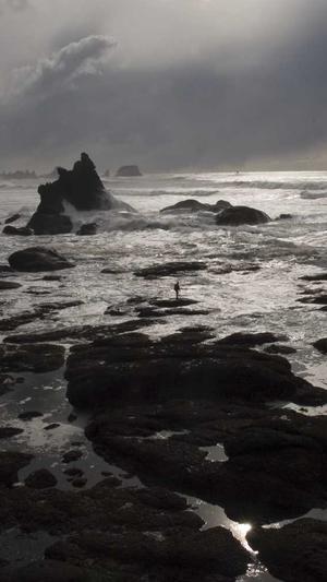 求网站建设截图1