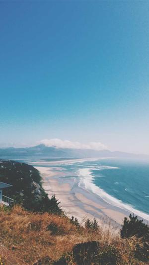 网站建设企业建站截图1