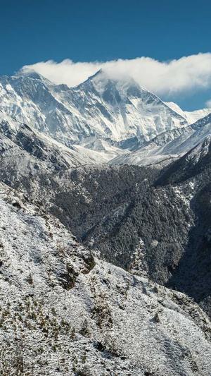 重庆seo优化排名截图3