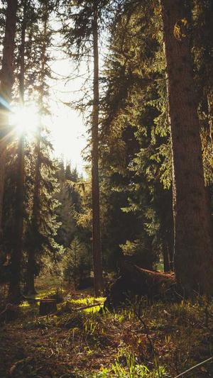 seo外链工具截图1