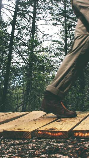 蜘蛛池教程案例截图3