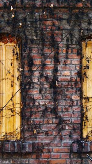 赣州网站建设截图2