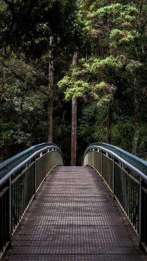 工作室网站建设截图3