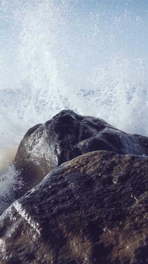 有哪些seo工具截图3