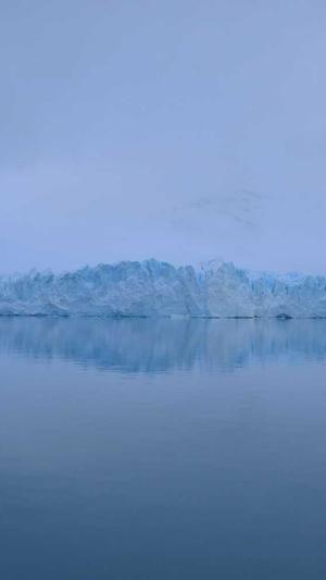 千云站蜘蛛池截图5