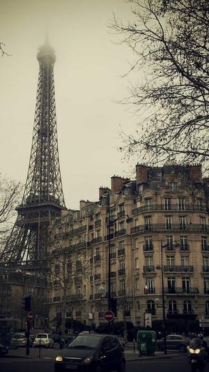 seo常用的工具包截图3