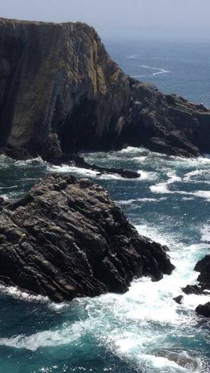 青岛网站seo诊断工具截图3