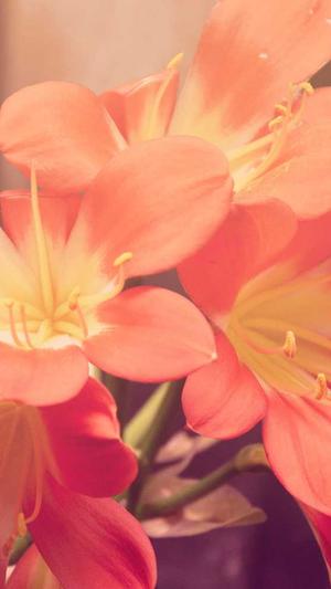 住房城乡建设网站官网截图2