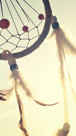 seo查询工具使用教程截图4