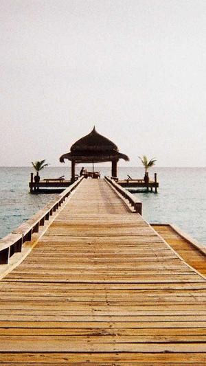 seo常用优化工具有哪些截图3