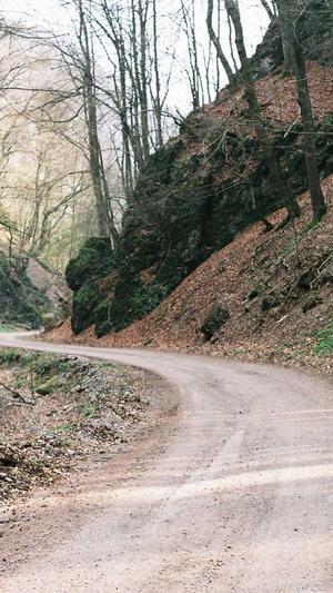 秒收录蜘蛛池截图4