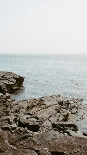 搜狗蜘蛛池关键词截图3